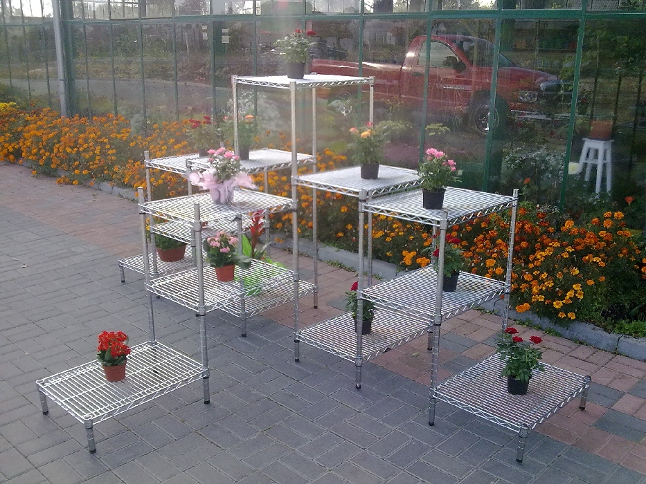 Projekt Ultra Power — Kwiaciarnie — zdjęcie 9